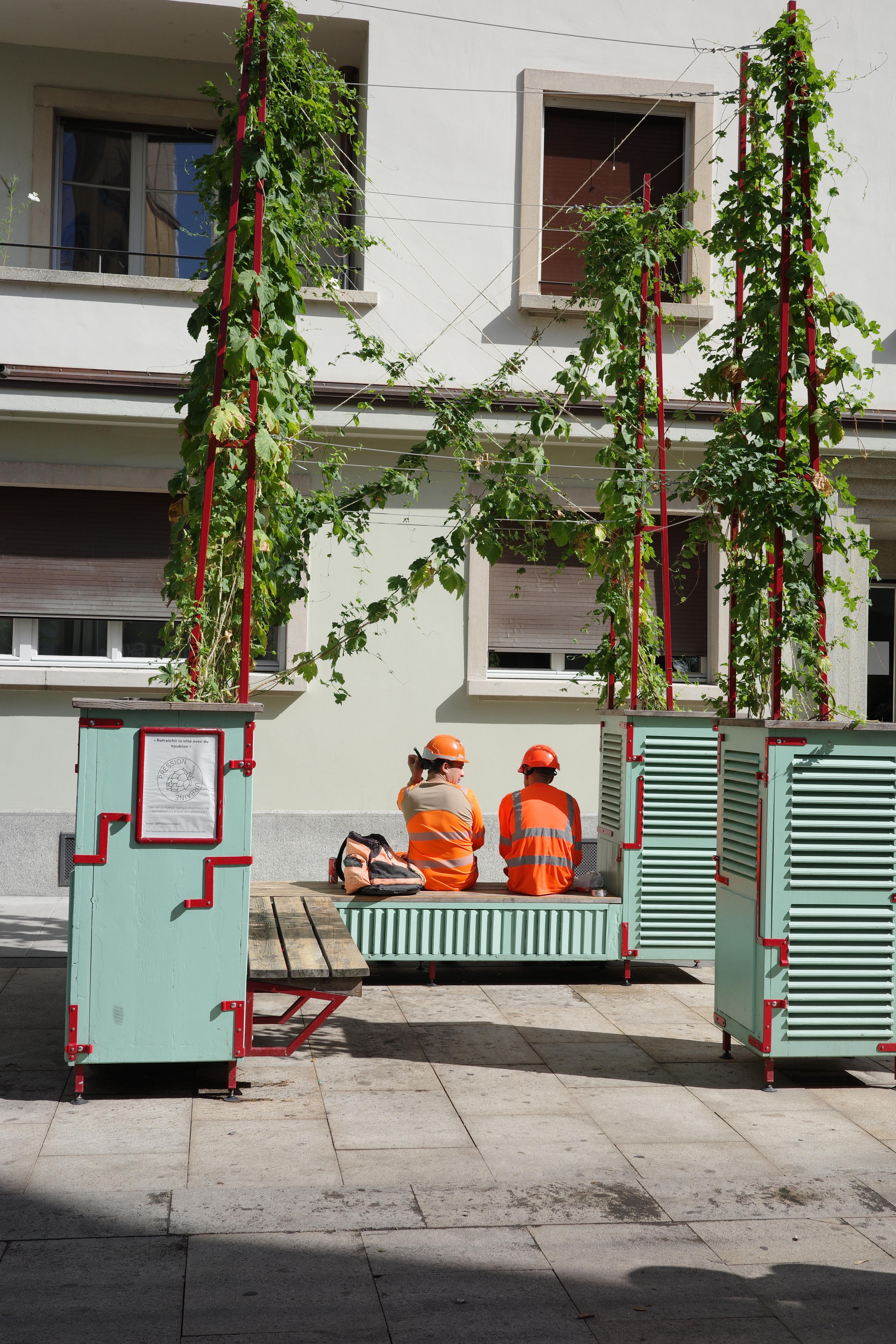 Photo 1755160757000_R0001116